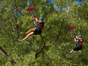 Cairns Adventure Park Flying Leap Mega zip line (1 of 1)-11