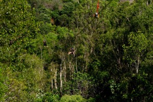Cairns Adventure Park Flying Leap Mega zip line 16
